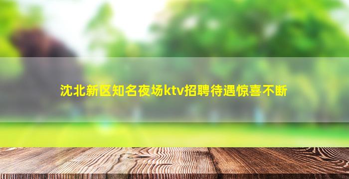沈北新区知名夜场ktv招聘待遇惊喜不断